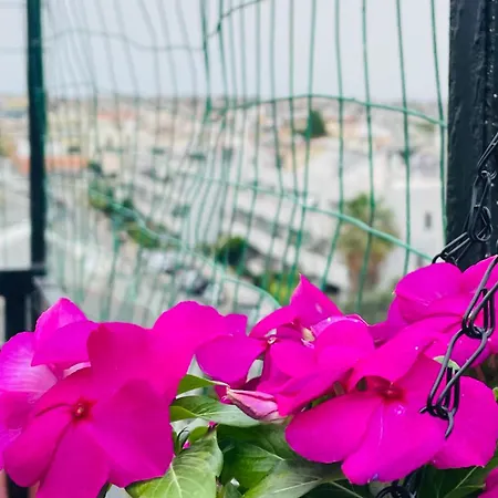 Karalis Flower Apartment *