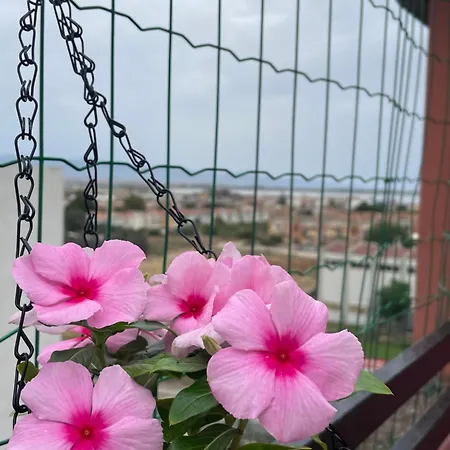 Apartment Karalis Flower Cagliari