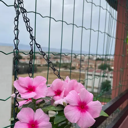 Karalis Flower Apartment
