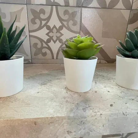 Karalis Flower Apartamento *
